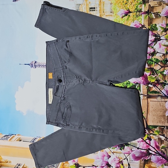 Pilcro & The Letterpress Anthropologie Gray Zippered Ankle SkinnyJeans Size 28 - Picture 1 of 5